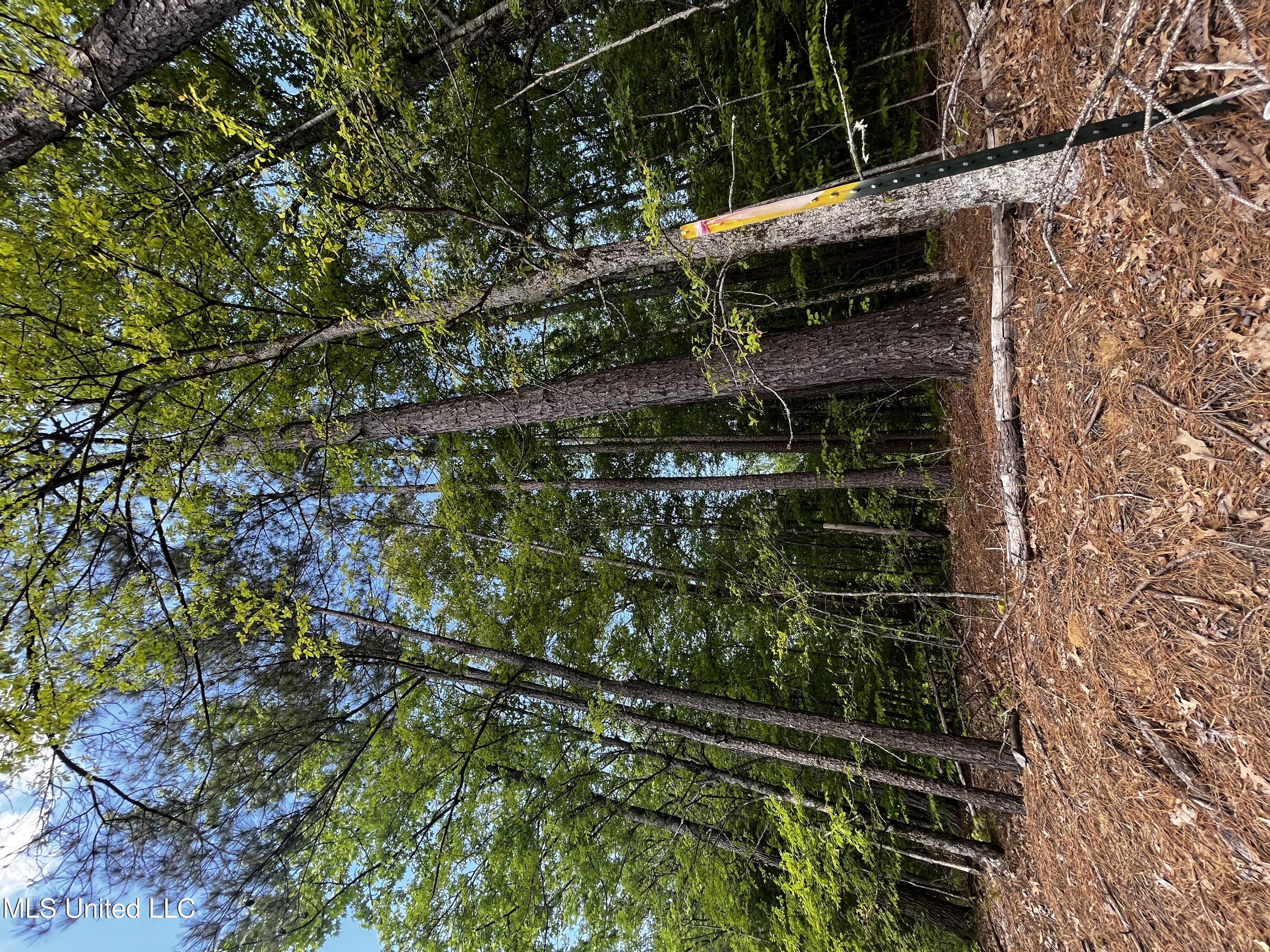 0 Bend Road Coldwater, MS 38618 - Photo 1 of 7 Front