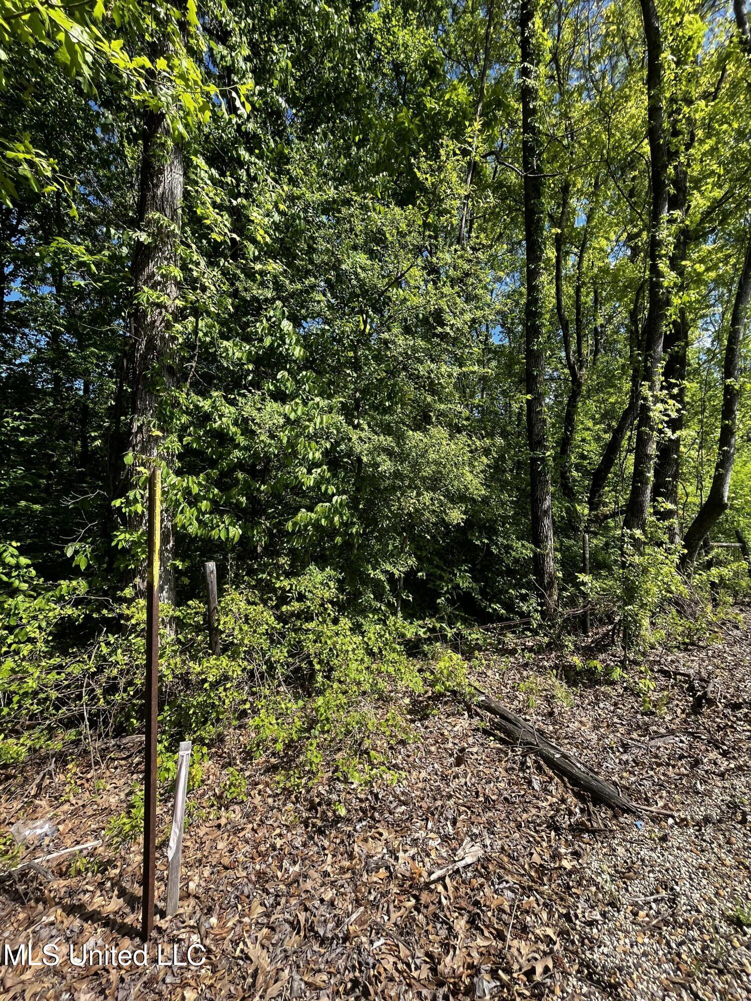 0 Bend Road Coldwater, MS 38618 - Photo 2 of 7 F2BCF8D9-B05E-48A9-8F58-5D4399BE07DB