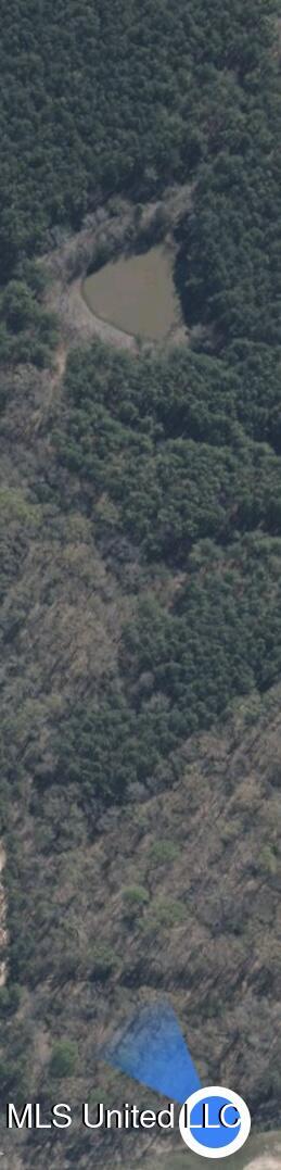 0 Bend Road Coldwater, MS 38618 - Photo 3 of 7 E6F06628-DECD-40D4-A34A-44BBECC598F8