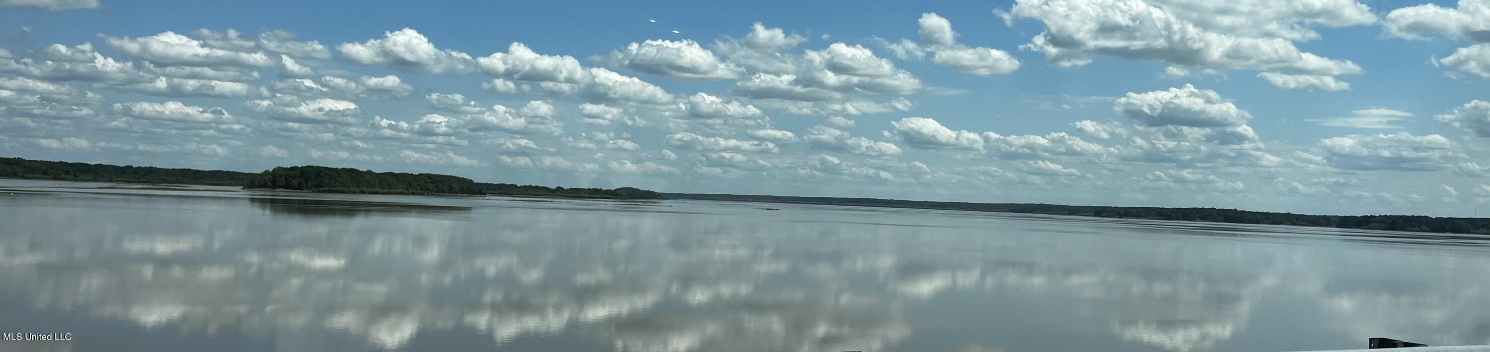 0 Bend Road Coldwater, MS 38618 - Photo 7 of 7 541E1766-A5B6-4EC2-A86E-EF8579BA3D52