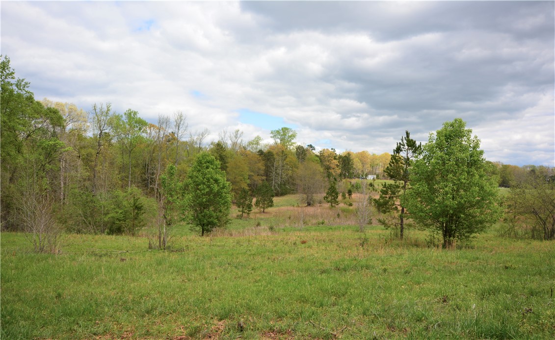 731 Dunklin Bridge Road Fountain Inn, SC 29644 - Photo 2 of 19