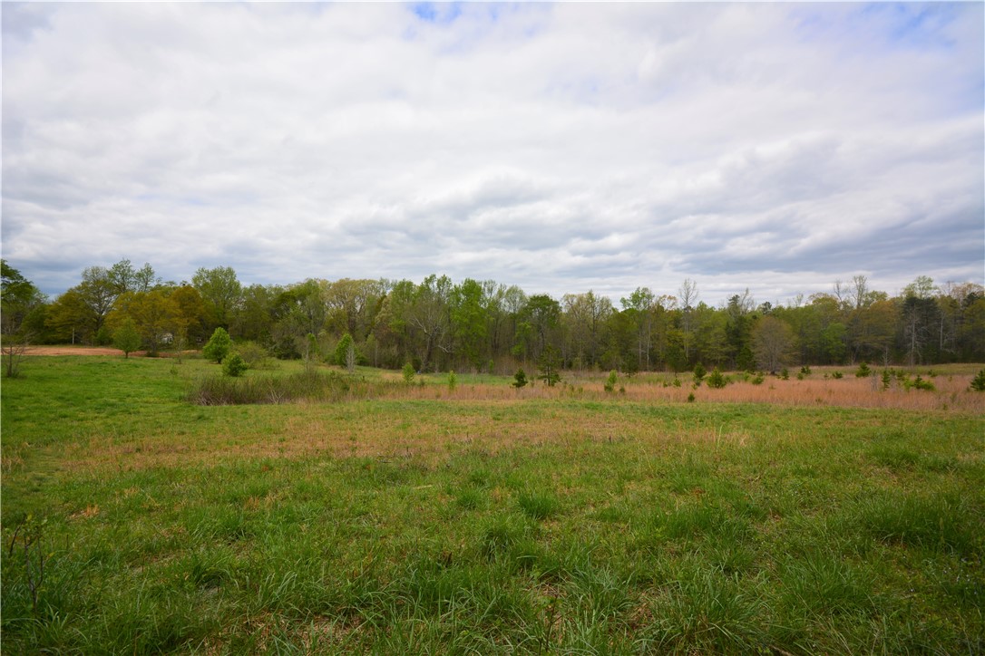 731 Dunklin Bridge Road Fountain Inn, SC 29644 - Photo 8 of 19