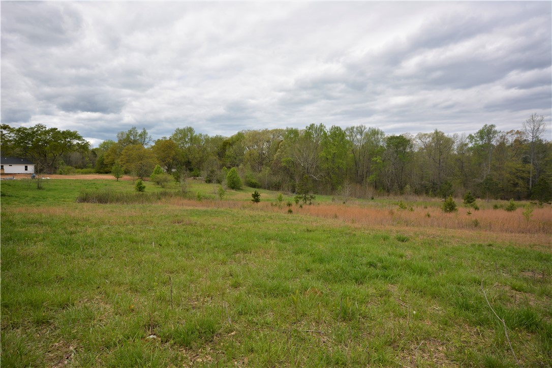 731 Dunklin Bridge Road Fountain Inn, SC 29644 - Photo 9 of 19
