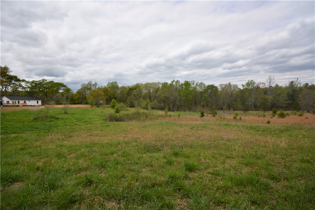 731 Dunklin Bridge Road Fountain Inn, SC 29644 - Photo 10 of 19