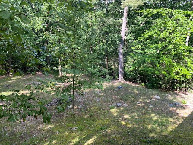 152 Chestnut Ridge Trail Fancy Gap, VA 24328 - Photo 15 of 51 Gallery Image 15