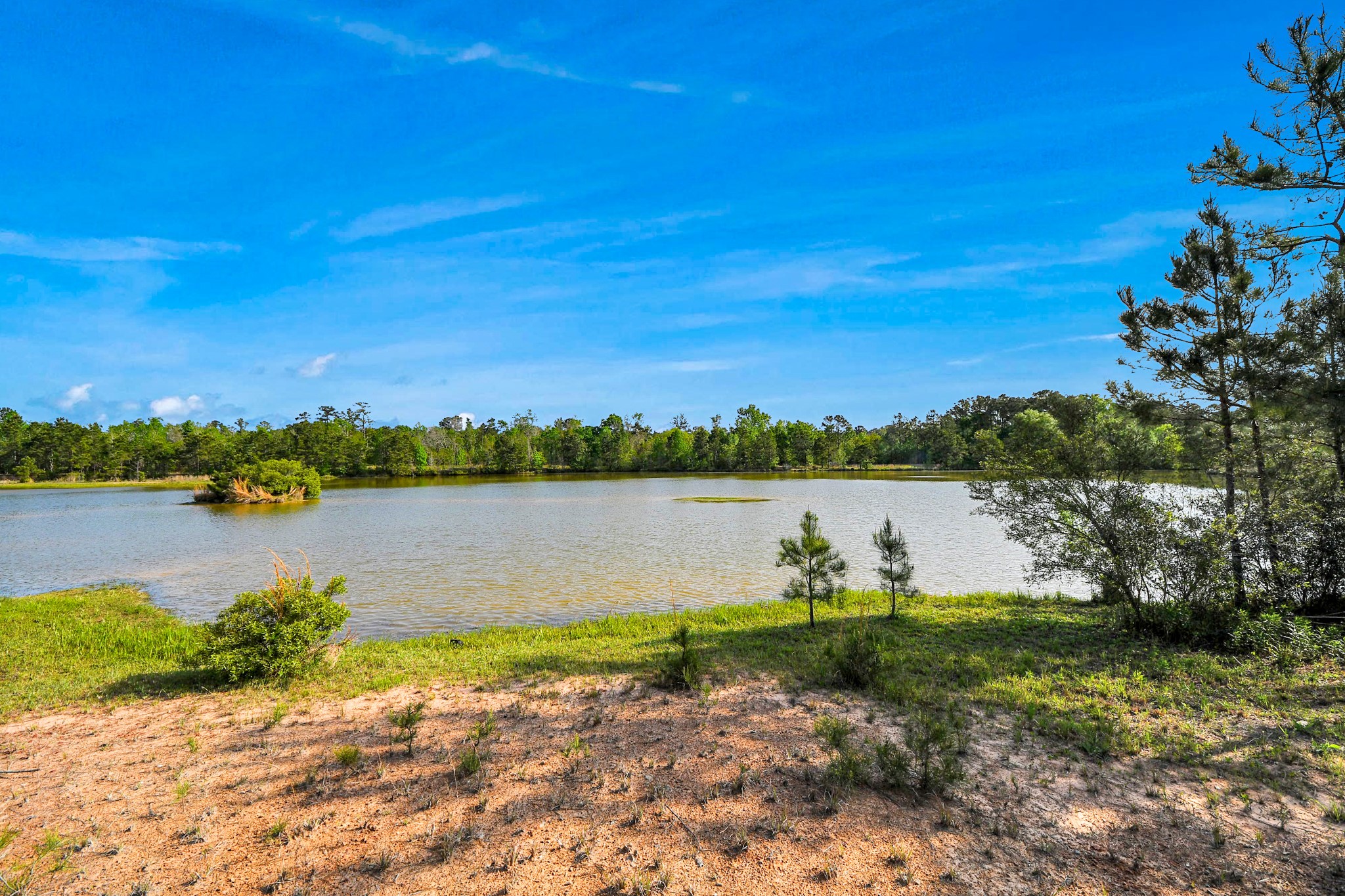20065 Spring Hill Lane Porter, TX 77365 - Photo 40 of 45