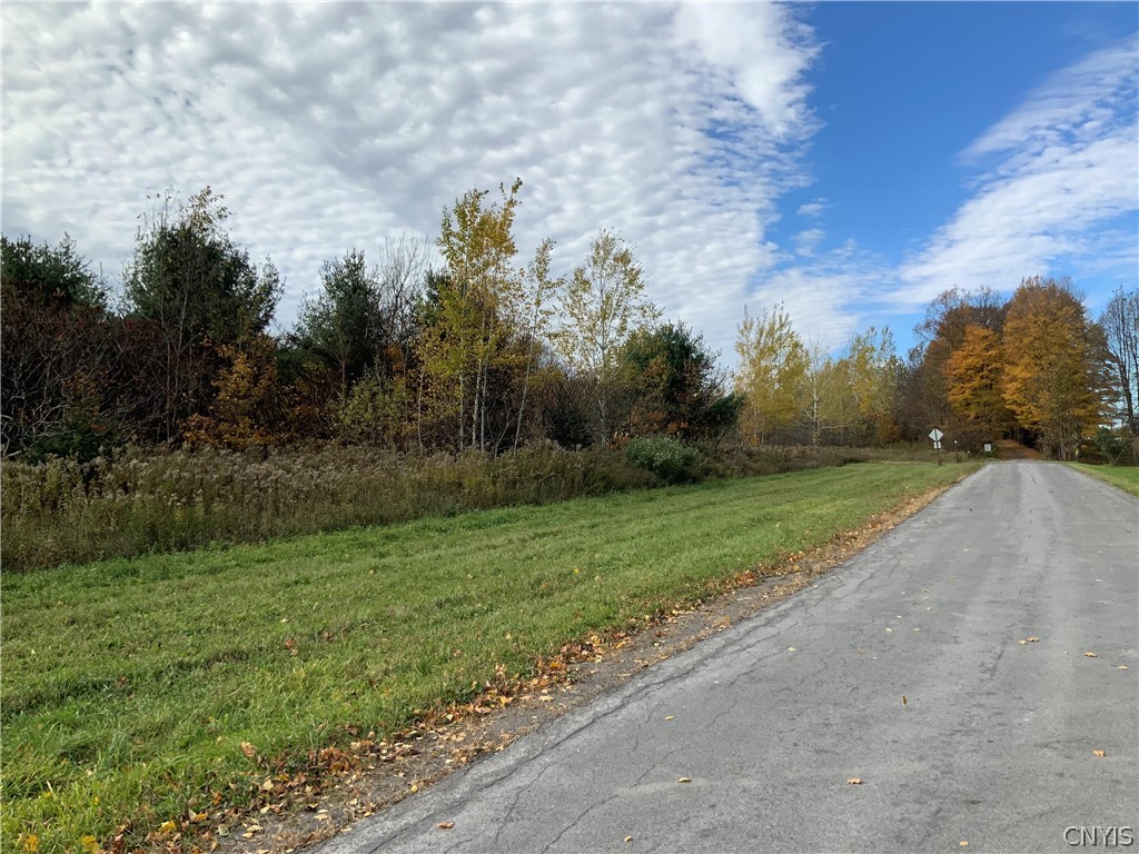 0 Diehl Road Mohawk, NY 13407 - Photo 43 of 49