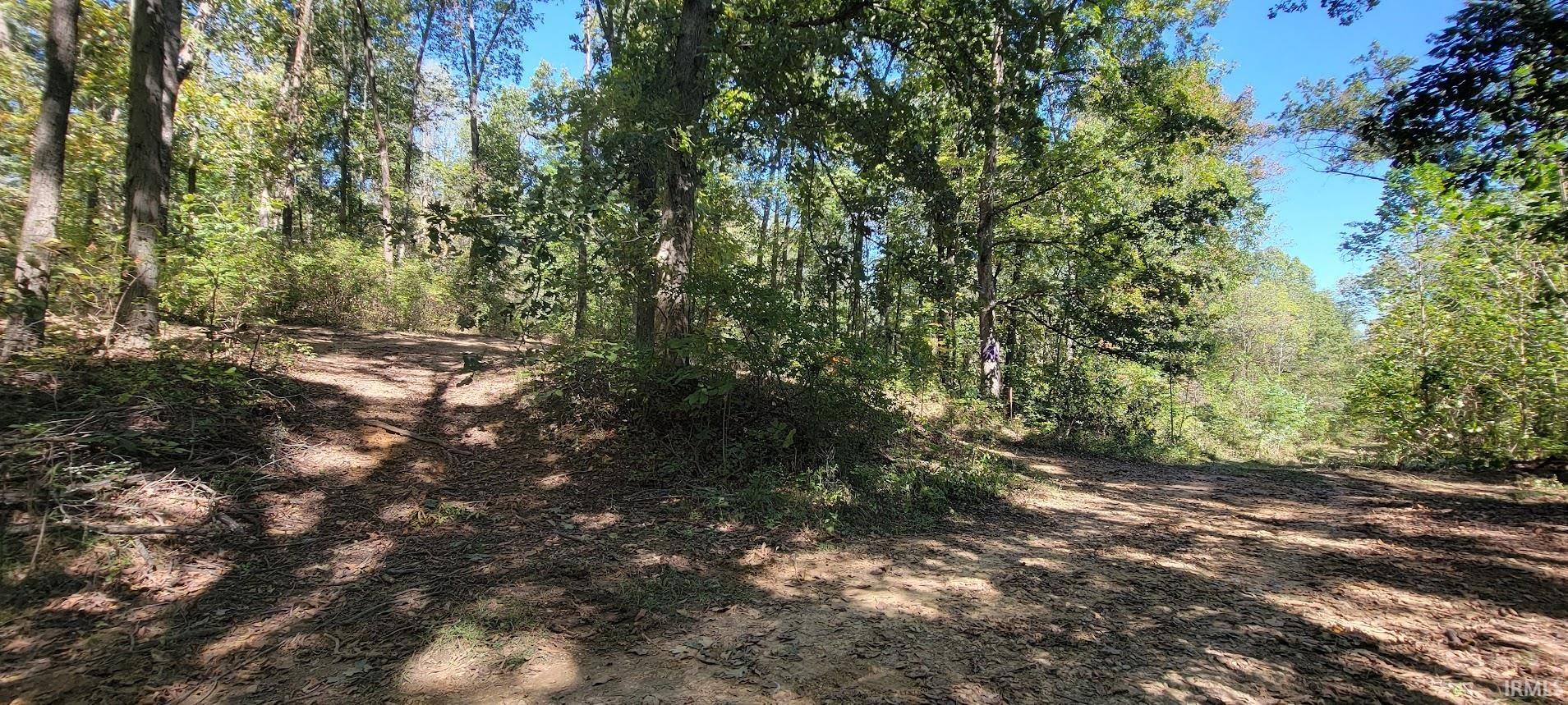 550 Loogootee In 47553 Loogootee, IN 47553 - Photo 8 of 13 Gallery Image 8