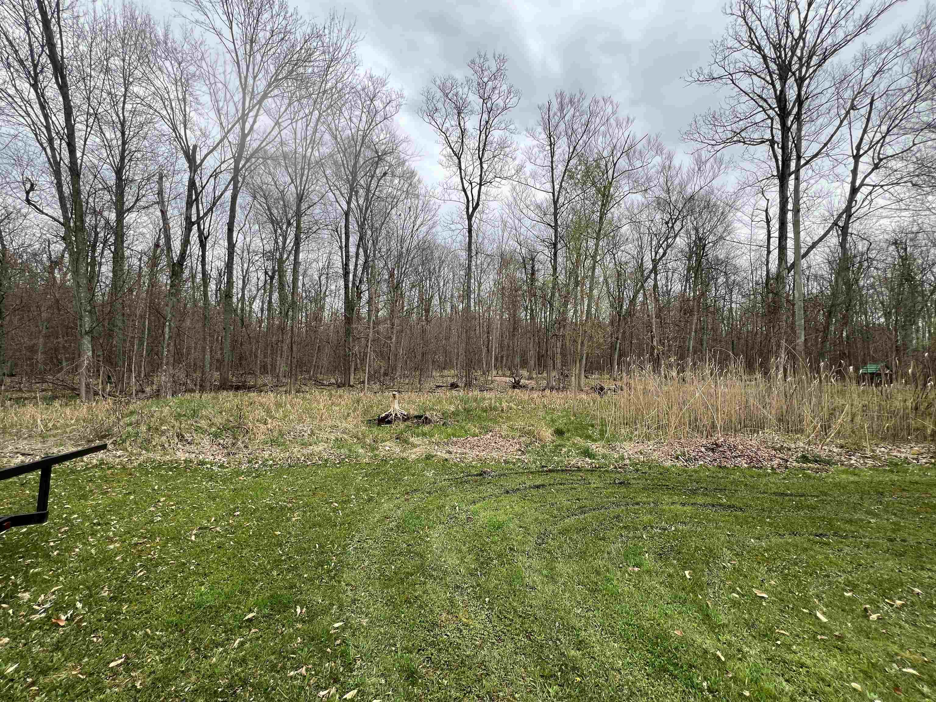 13084 North Lewis Road Clio, MI 48420 - Photo 7 of 64