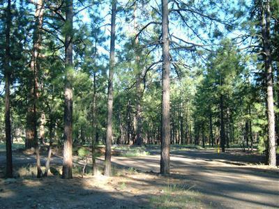 0 Lockett Ranches Flagstaff, AZ 86001 - Photo 3 of 17 Additional Photo