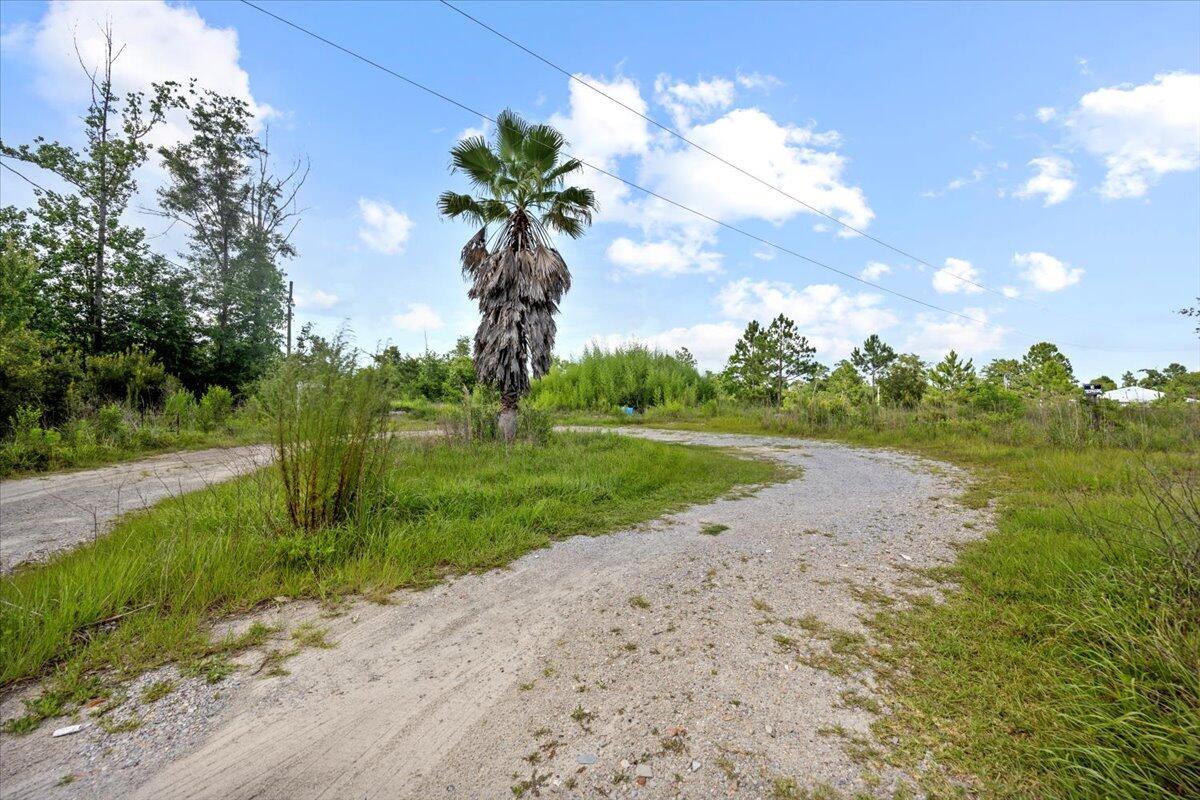5704 Arnold Road Panama City, FL 32404 - Photo 11 of 25 a big yard with lots of green space