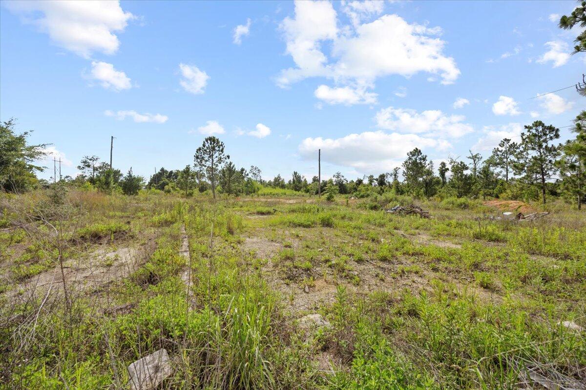 5704 Arnold Road Panama City, FL 32404 - Photo 9 of 25 a view of a big yard with large trees