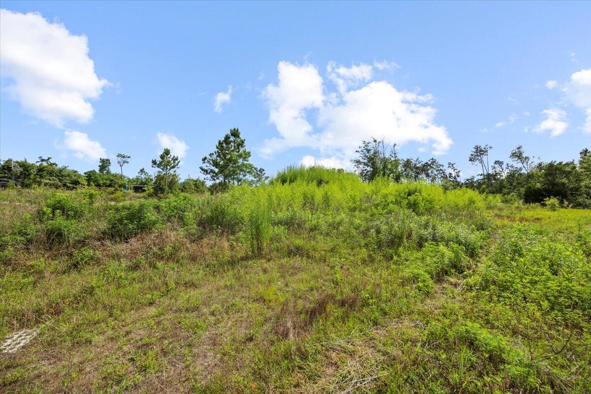5704 Arnold Road Panama City, FL 32404 - Photo 10 of 25 a view of a bunch of trees in background