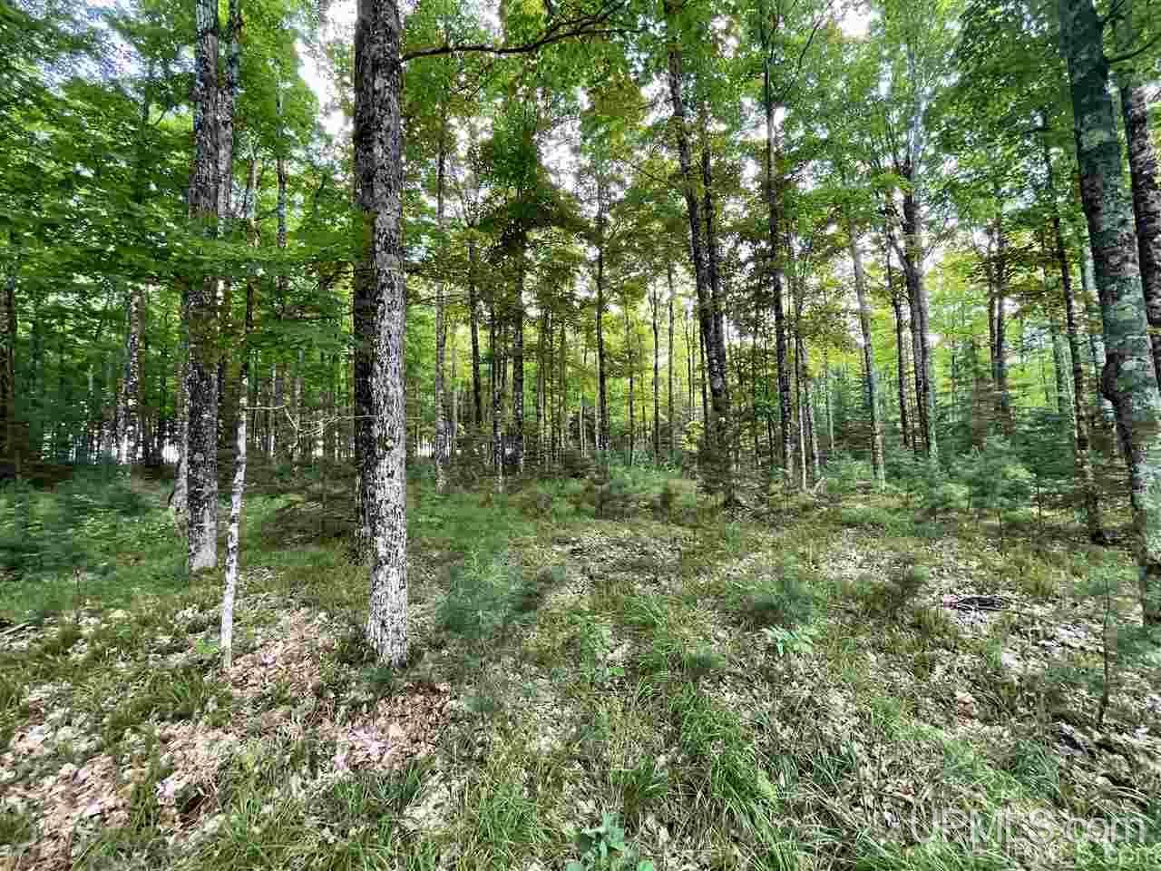 Tbd Sand Road, Unit 2 Powers, MI 49874 - Photo 32 of 38