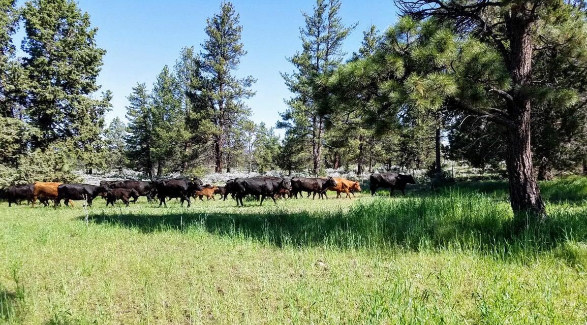 20893 Sprague River Road Chiloquin, OR 97624 - Photo 47 of 75 20893 47