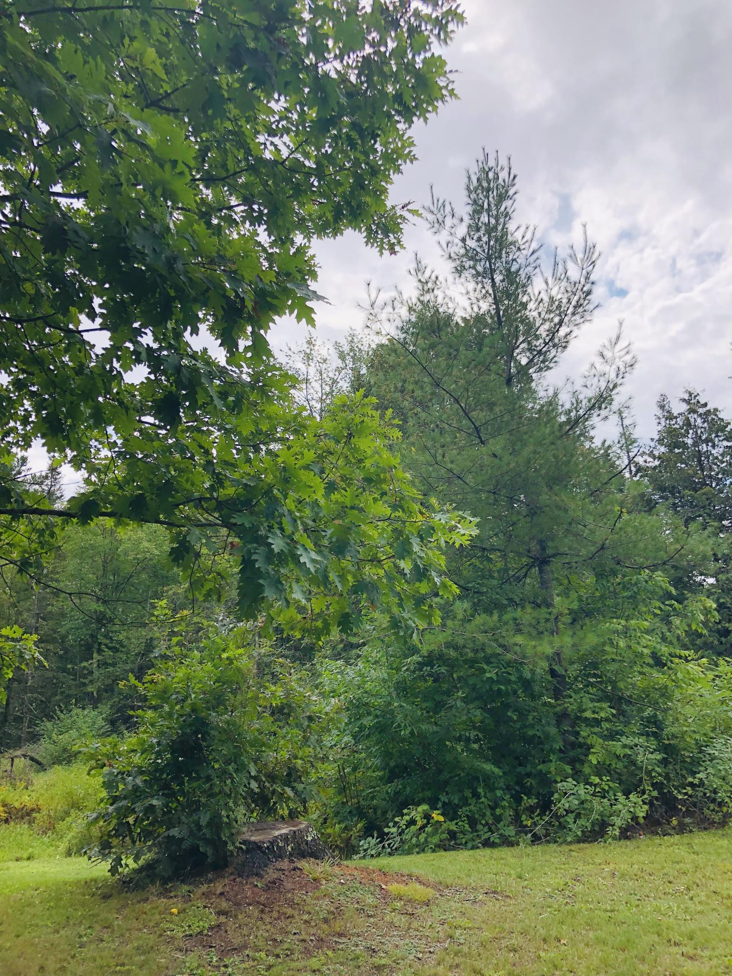 208 Unity Road Albion, ME 04910 - Photo 21 of 71 D8DD398C-32A4-4E12-93D4-DA4D75D2C66D