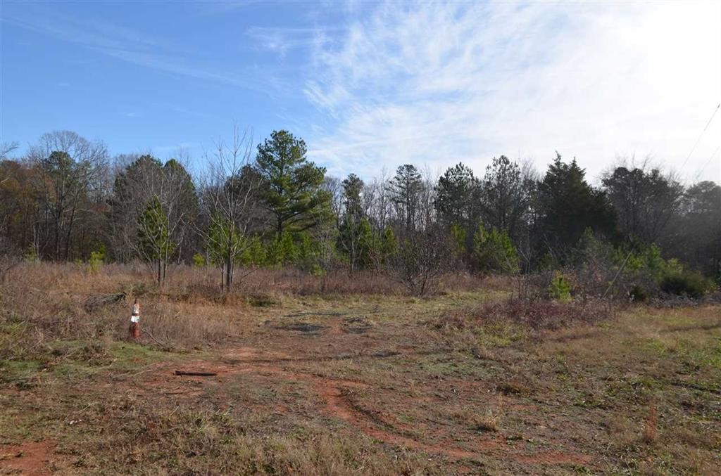90 P-10-67 Anderson, SC 29621 - Photo 3 of 8 Gallery Image 3