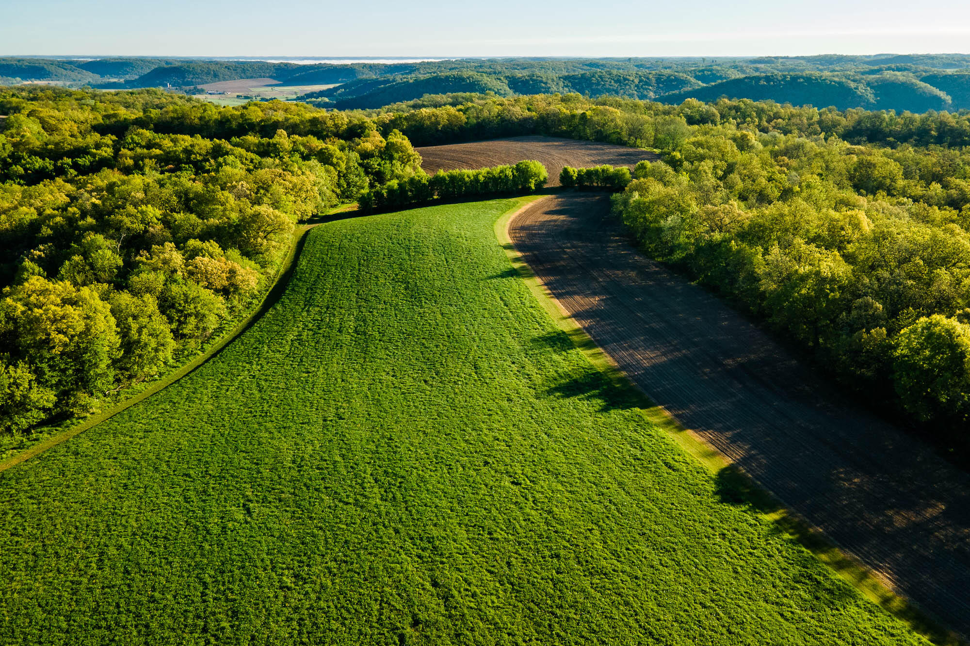 15999 Biba Road Muscoda, WI 53573 - Photo 49 of 103 Grant-County-WI-160-Acres-Land-For-Sale-