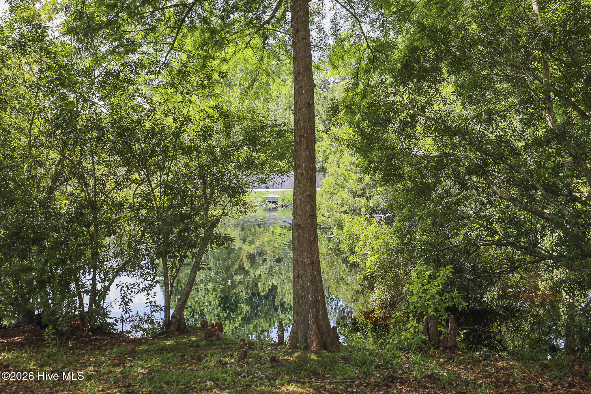 217 Rutherford Way Jacksonville, NC 28540 - Photo 70 of 96