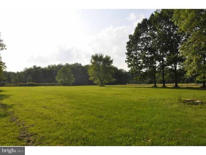 46 Hogback Road Chesterfield, NJ 08515 - Photo 21 of 24 Back Yard