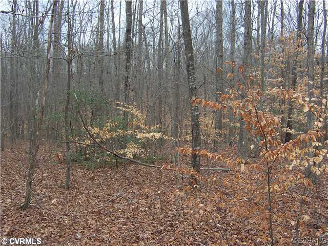 9 Deep Creek Road Palmyra, VA 22963 - Photo 1 of 1 Land