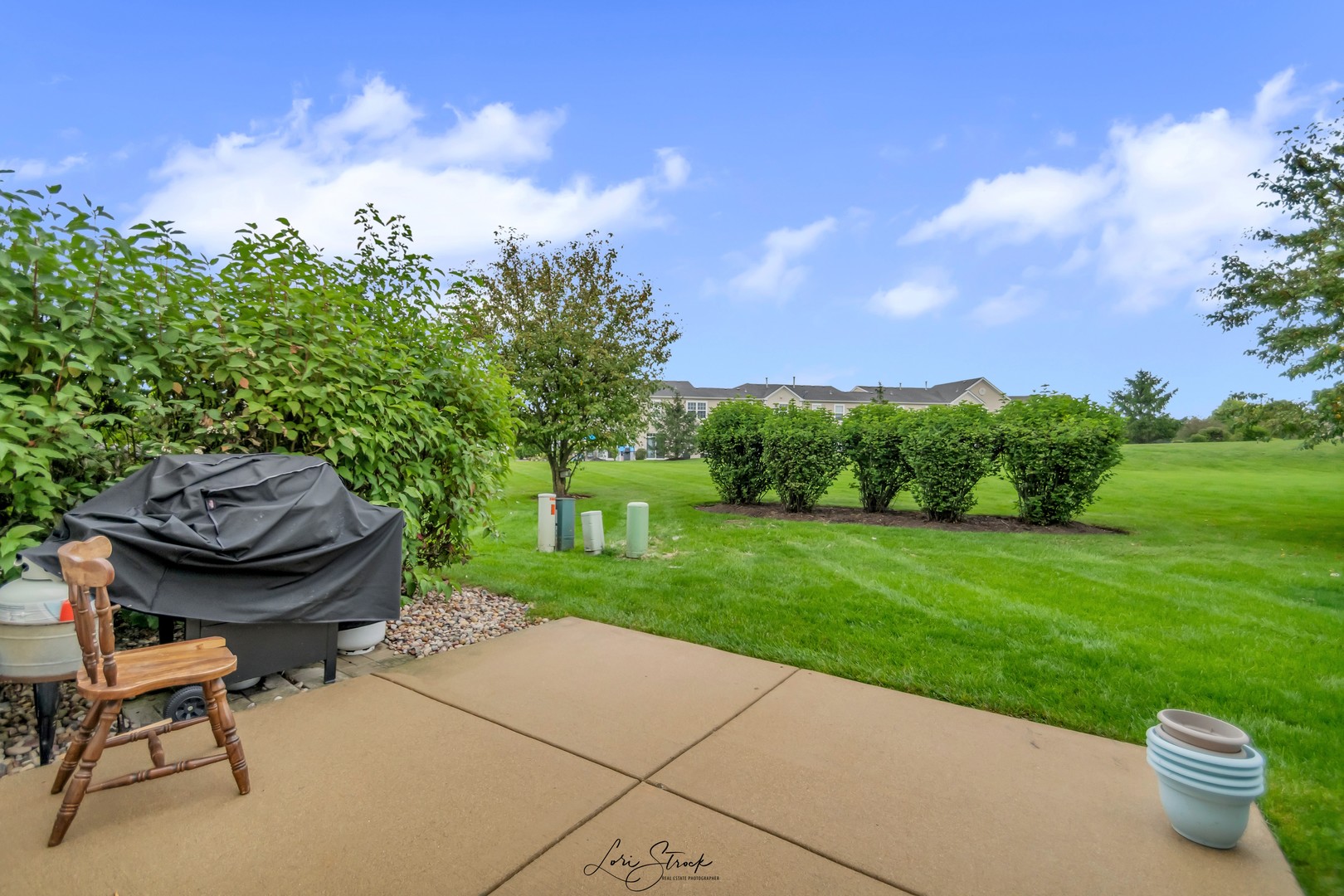 25009 Clare Circle Manhattan, IL 60442 - Photo 6 of 20 a view of a backyard with sitting area