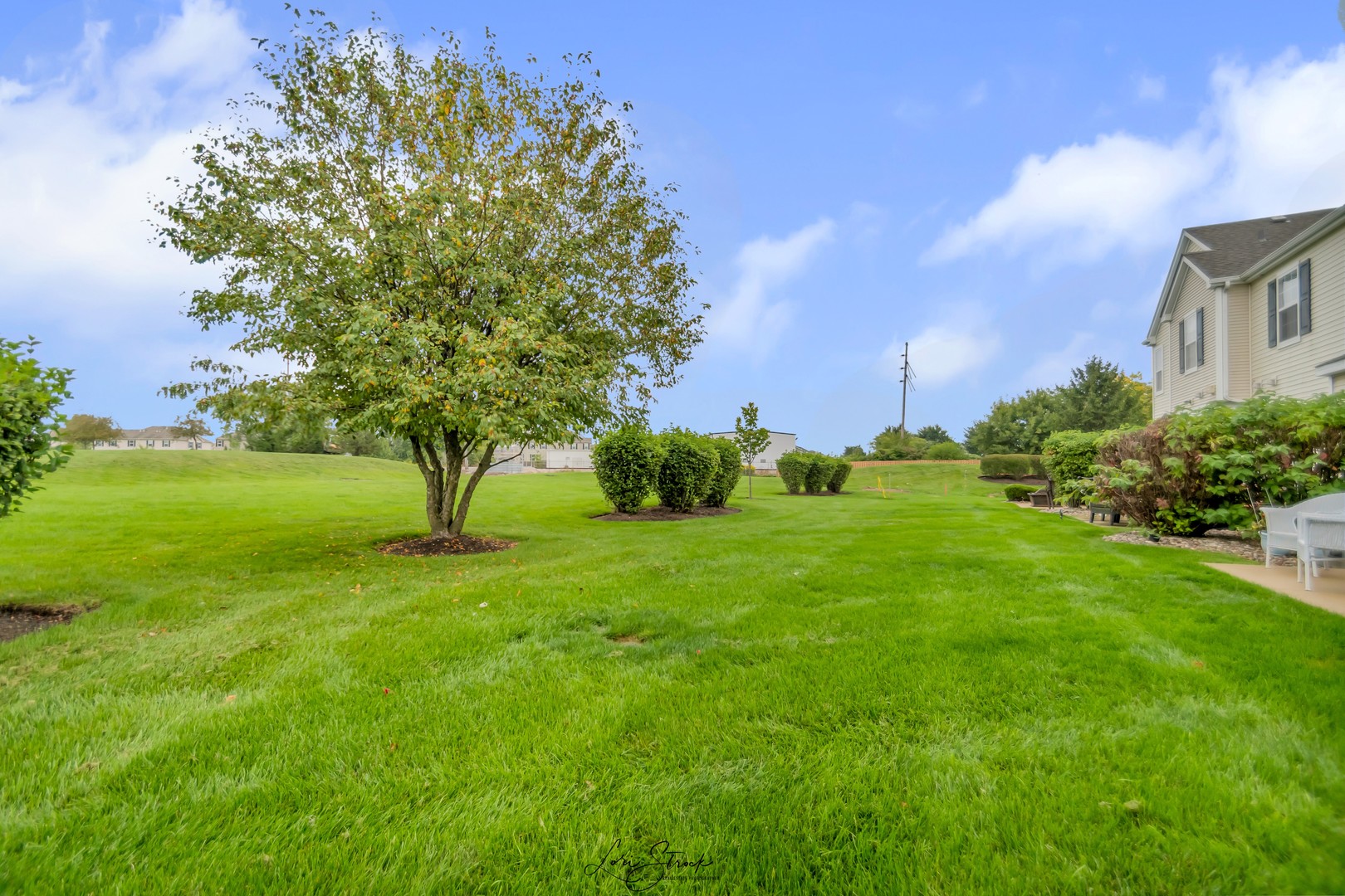 25009 Clare Circle Manhattan, IL 60442 - Photo 8 of 20 a view of backyard with green space