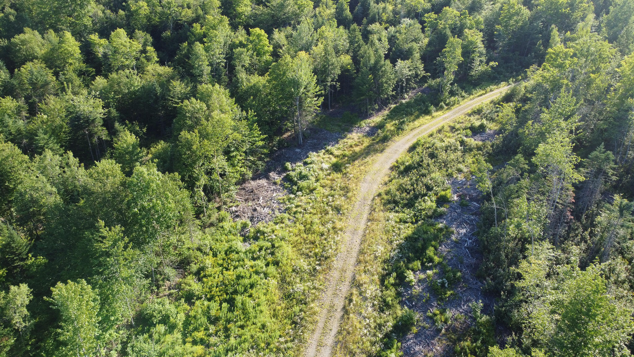 171 Reed Plt Me 04497 Wytopitlock, ME 04497 - Photo 4 of 29 dji_fly_20260716_175310_738_178423891534