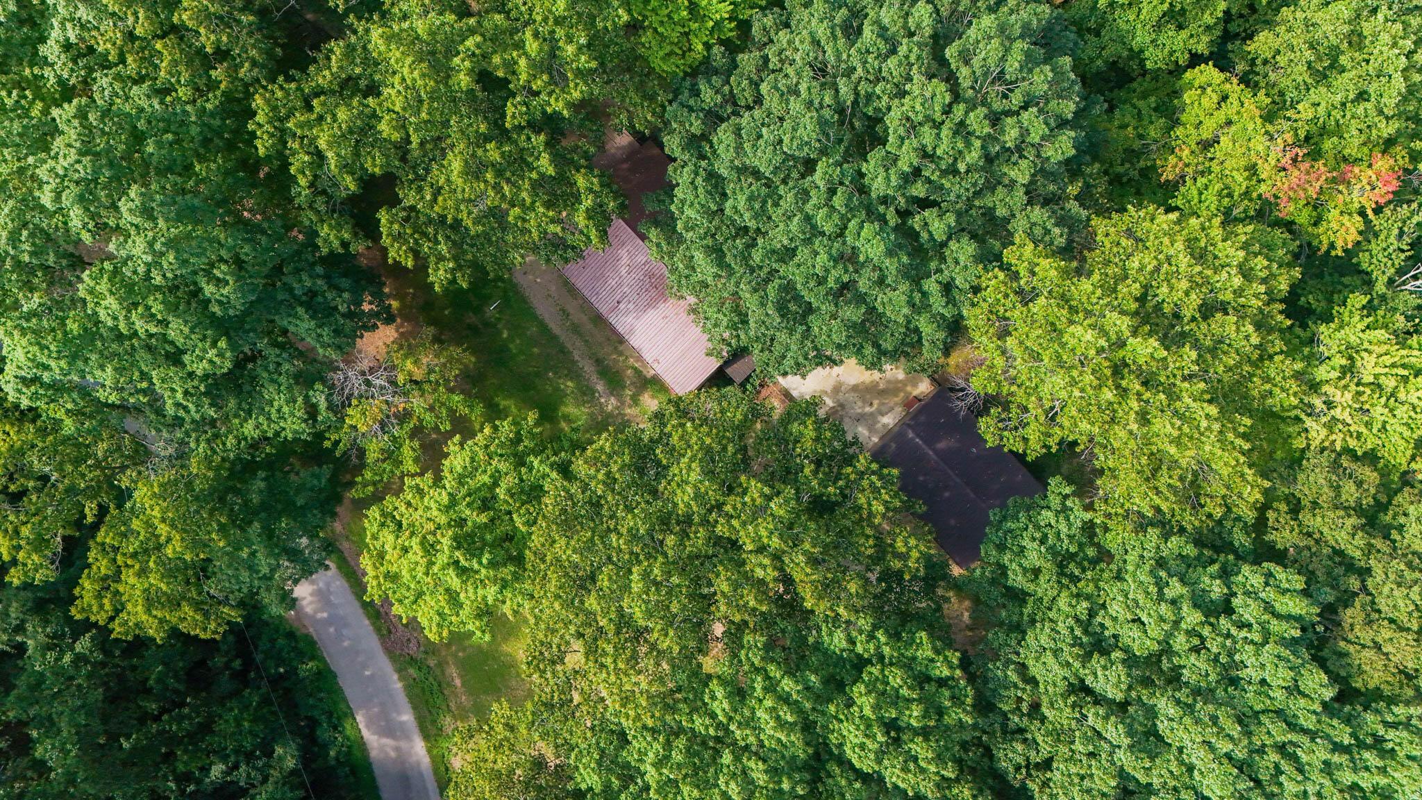 24601 Pole Ridge Road South Bloomingville, OH 43152 - Photo 42 of 46 DJI_20260831104854_0460_D