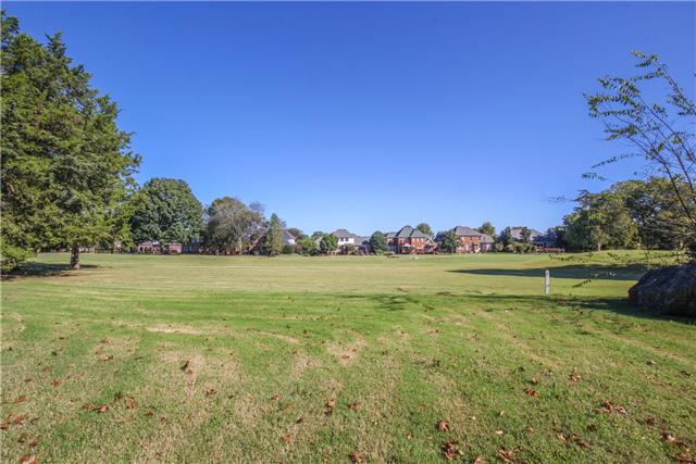2911 Wolves Trail Murfreesboro, TN 37127 - Photo 5 of 13 CHECK OUT THESE GOLF COURSE VIEWS!!!