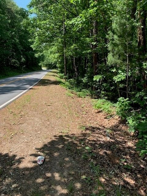 9 Bear Gap Road Clarkesville, GA 30523 - Photo 1 of 1 Gallery Image 1