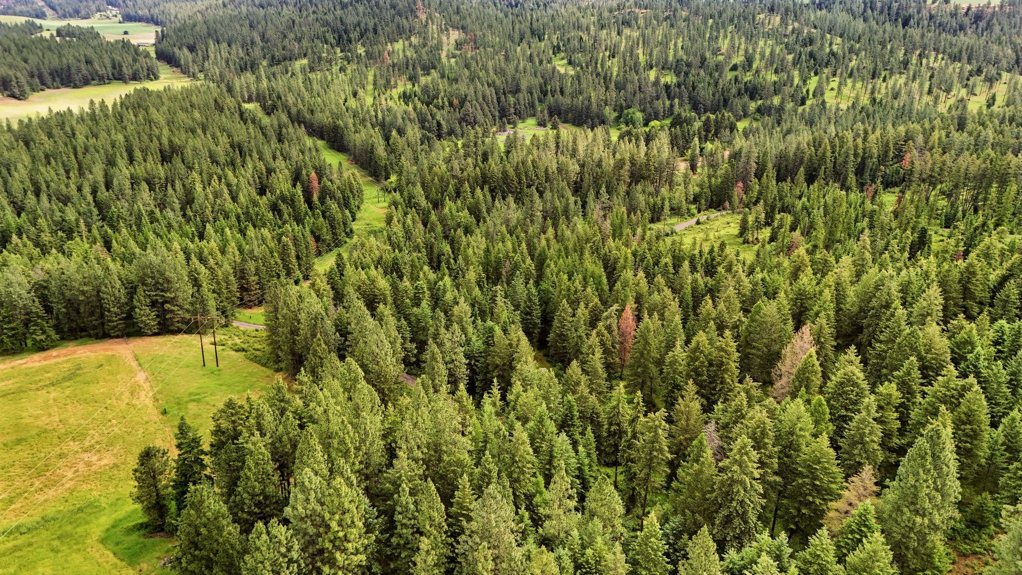 12112 East Burnett Road Mead, WA 99021 - Photo 14 of 23