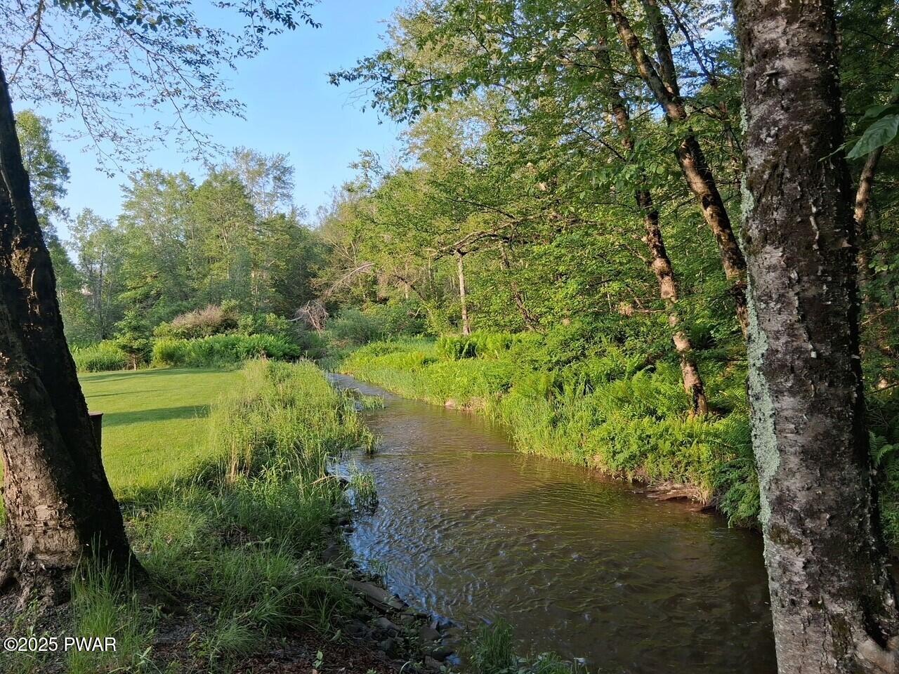 262 Plank Road Beach Lake, PA 18405 - Photo 28 of 45 Stream