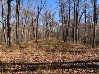 0 Green Forest Road Dunlap, TN 37327 - Photo 1 of 14