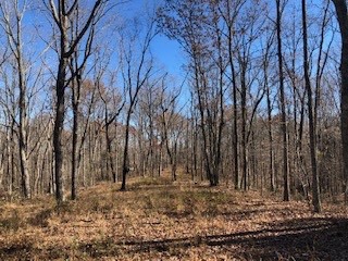 0 Green Forest Road Dunlap, TN 37327 - Photo 3 of 14 a backyard of a house with lots of green space