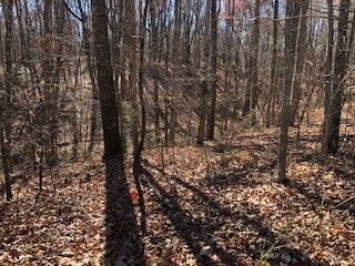 0 Green Forest Road Dunlap, TN 37327 - Photo 4 of 14 a view of forest