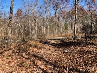 0 Green Forest Road Dunlap, TN 37327 - Photo 6 of 14 a backyard of a house with lots of green space