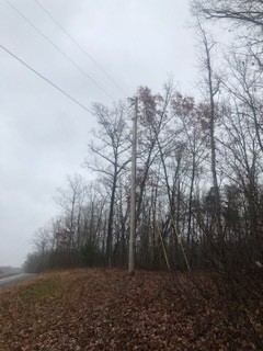 0 Green Forest Road Dunlap, TN 37327 - Photo 10 of 14 a view of a yard with trees in the background