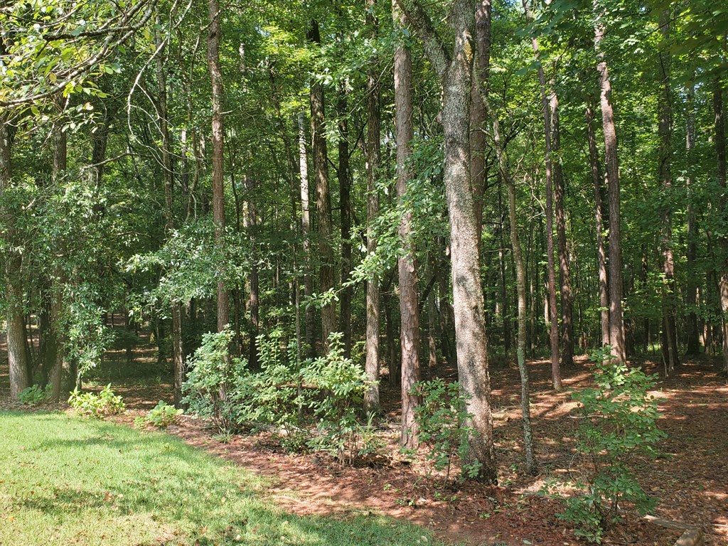 82 Rushing Water Way South Fortson, GA 31808 - Photo 23 of 27 Gallery Image 23