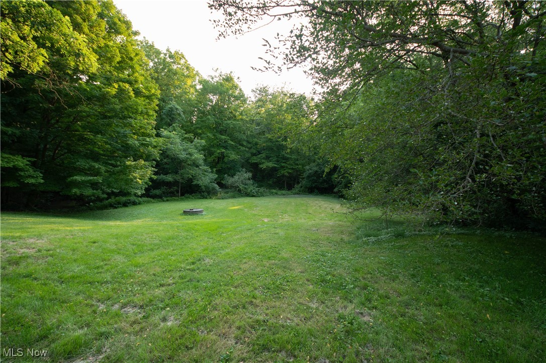 9719 Angling Road Wakeman, OH 44889 - Photo 30 of 39 View of grassy yard