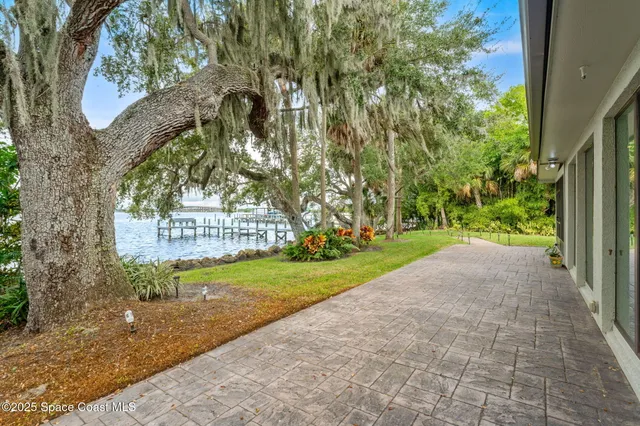 a view of a park with a tree