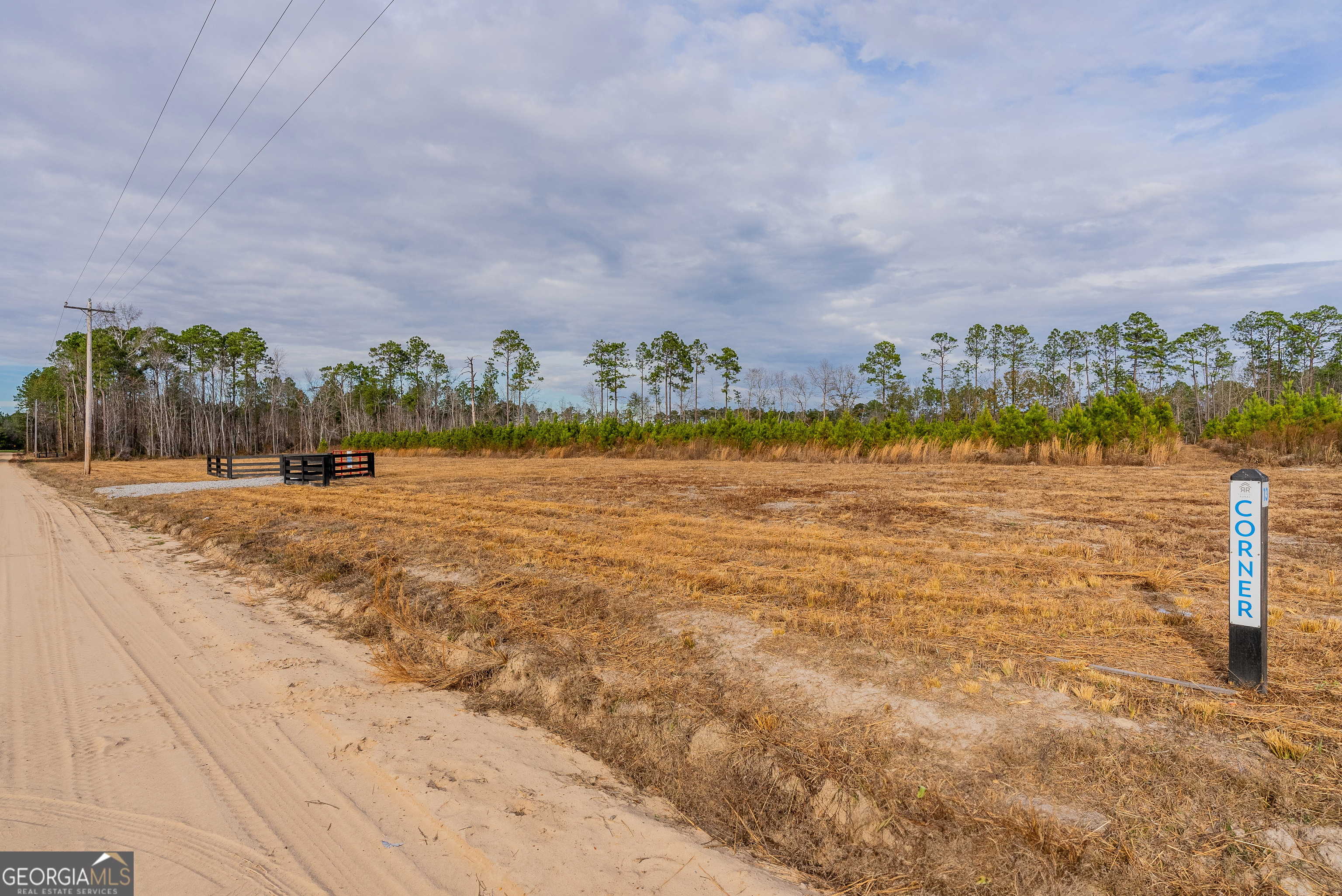 Lot 12 Bennett Grooms Road Brooklet, GA 30415 - Photo 2 of 3