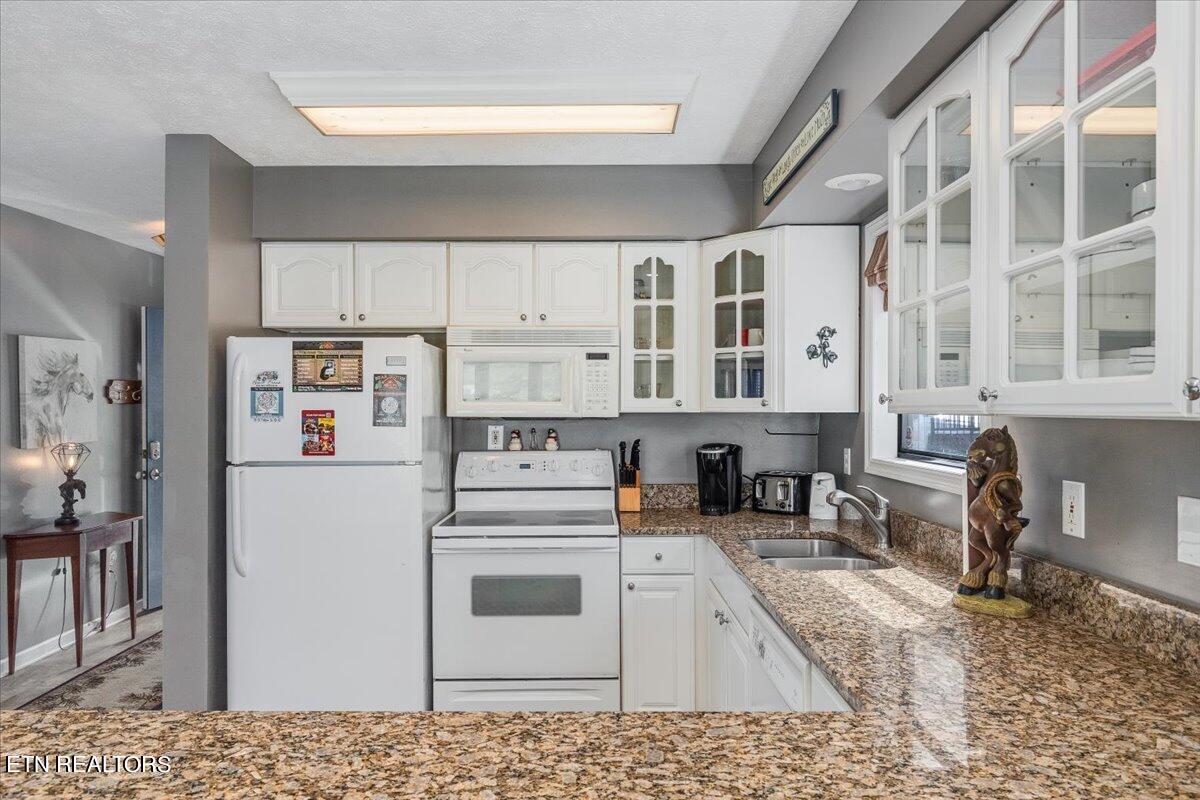 425 Stone Ridge Way Pigeon Forge, TN 37863 - Photo 11 of 46 11-Kitchen 1