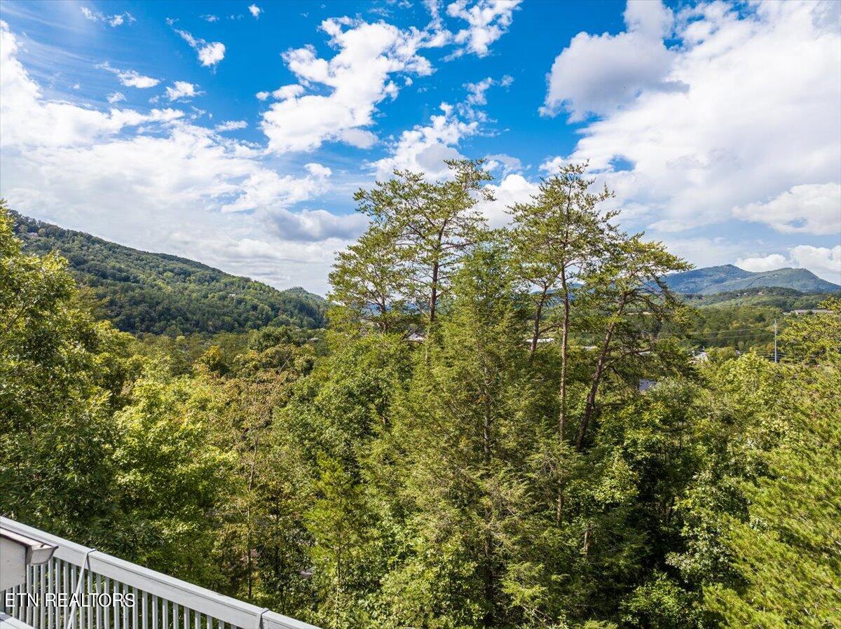 425 Stone Ridge Way Pigeon Forge, TN 37863 - Photo 38 of 46 38-View From Balcony