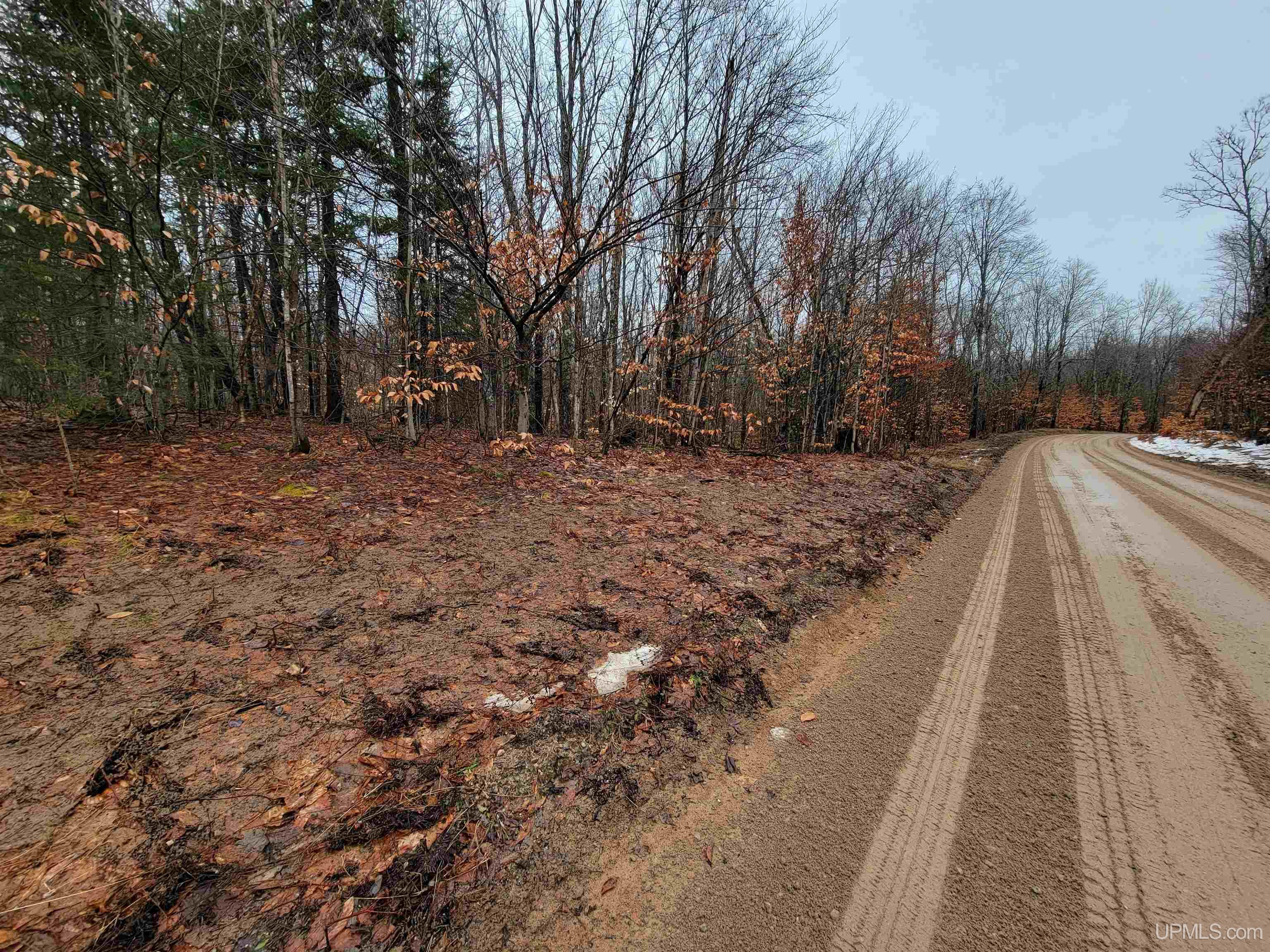 Tbd South Ross Lake Road Shingleton, MI 49884 - Photo 2 of 7