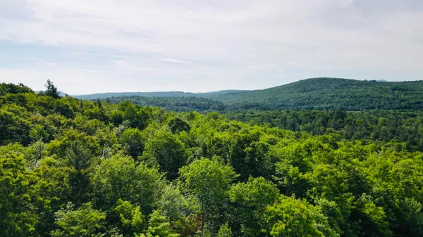 $47,900 | Lot #4 Mooseley Ridge Road, Phillips, ME 04966