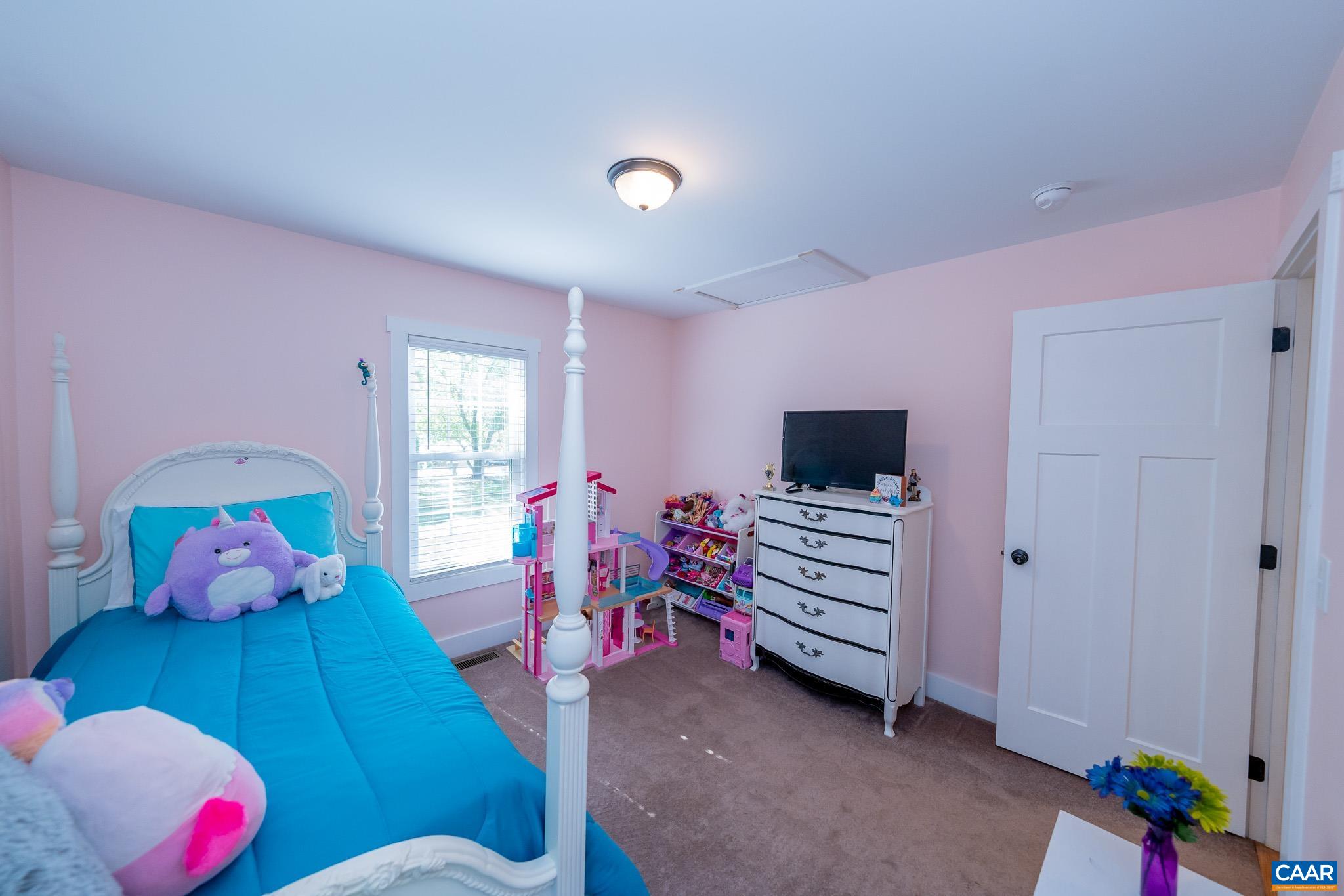 3876 Blenheim Road Charlottesville, VA 22902 - Photo 32 of 44 Gallery Image 32