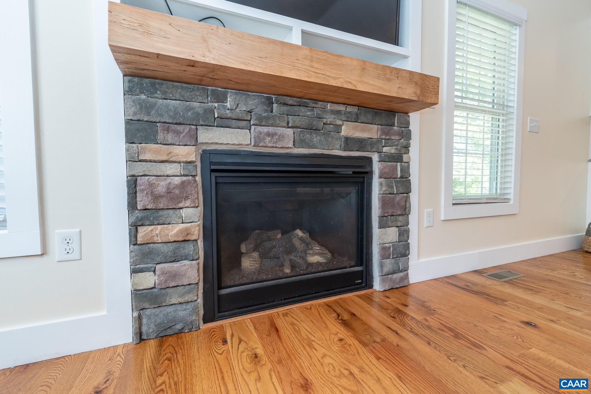 3876 Blenheim Road Charlottesville, VA 22902 - Photo 9 of 44 Gallery Image 9