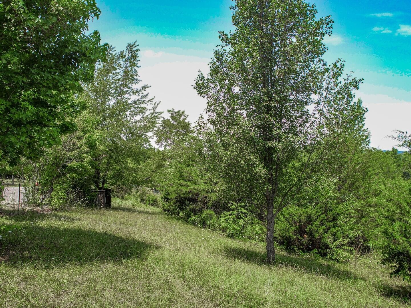 12 Dawning Road Newport, TN 37821 - Photo 21 of 28 Gallery Image 21