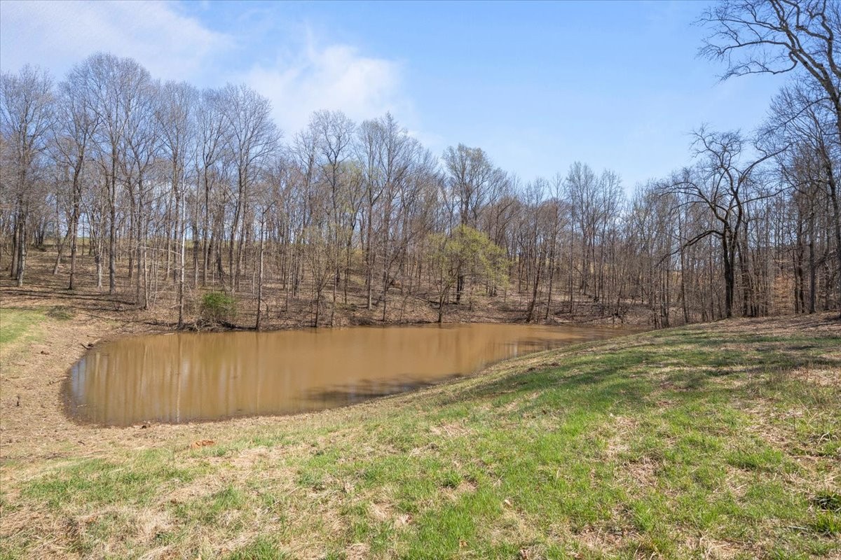 650 Wall Road Cunningham, TN 37052 - Photo 27 of 42 Gallery Image 27
